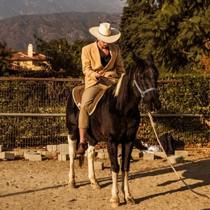 中文字幕无码久久综合
