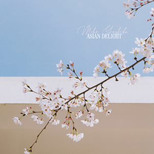 中文字幕无码久久综合
