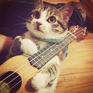 中文字幕无码久久综合
